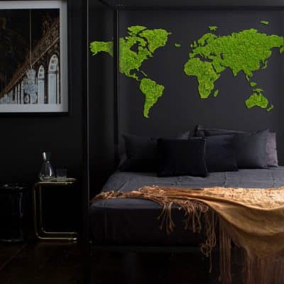 Weltkarten aus Moos, grüne Weltkarte aus Islandmoos