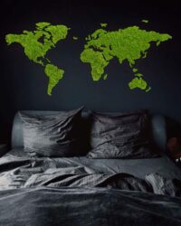 Weltkarte der Mooskladonien, grüne Karte 5